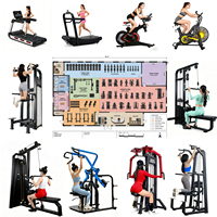 Vente en gros usine : Appareil de musculation professionnel à charge libre pour pont fessier, entraîneur de fessiers et machine à hip thrust pour la musculation