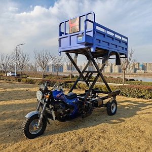 Tricycle motorisé chinois bleu à 3 roues, 4 temps, 350 CC, pour la cueillette de fruits - Product Image 2