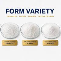 Chlorure de Calcium Anhydre en Gros pour l'Exportation – Absorption Industrielle de l'Humidité