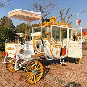 Chariot de mariage électrique OEM doré sculpté, style royal, en promotion - Product Image 5