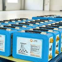 Batería de Fosfato de Hierro y Litio (LiFePO4) de 12V 100Ah/300Ah con BMS Inteligente Integrado, Duradera y de Fácil Instalación para Sistemas de Energía Solar Residenciales