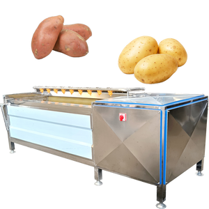 Máquina de Alta Calidad para Limpieza de Frutas y Verduras con Raíz de Loto y Yema de Castaña, Ideal Antes y Después de la Pelado Químico o con Vapor - Product Image 1