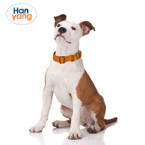 HanYang OEM <span class=keywords><strong>Collar</strong></span> Elástico Personalizado para Perro Cómodo <span class=keywords><strong>Collar</strong></span> Elástico para Gato - Product Image 6