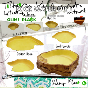 USMILEPET Bol et bassin d'eau en résine pour reptiles et amphibiens, gamelle et abreuvoir pour tortues, bols et mangeoires pour animaux de compagnie - Product Image 3