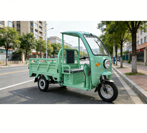 Triciclo Eléctrico de Carga de 2000W, el Más Vendido, para Uso Familiar, Duradero, de Alta Eficiencia y con Capacidad de 2 Toneladas - Product Image 5