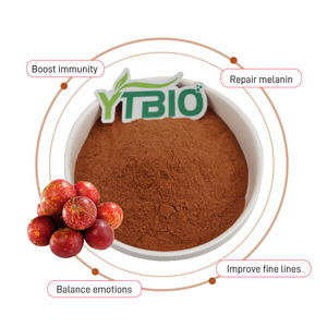 <span class=keywords><strong>Cuma</strong></span> Fruit Soluble Powder - Bebida Natural e Ingrediente Alimentario, Rico Sabor y Color, 500g - Product Image 2