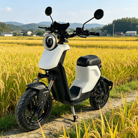 Sepeda Listrik 1500W Brushless 60/72V 20Ah Baterai Lithium 60km/jam Rem Cakram Ganda Suspensi Hidrolik untuk Wanita Pria
