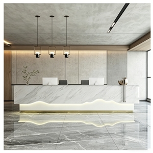 CR146 Light Luxury Matte Reception Desk with Built-in LED Light Curved Reception Counter for Medical Clinic Beauty Shop - Product Image 3