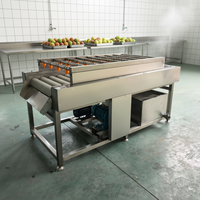 Fabrieks prijs machine voor het verwijderen van dornen van cactusvijgen, machine voor het wassen en reinigen van cactusvijgen, machine voor het ontdoornen van nopalvruchten