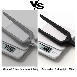 Pour <span class=keywords><strong>Brompton</strong></span> G Line vélo fourche avant <span class=keywords><strong>20</strong></span> <span class=keywords><strong>pouces</strong></span> frein à disque en Fiber de carbone à travers l'essieu M12x100mm pour le cyclisme urbain - Product Image 3