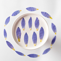 Pétales de lotus bleu séchés naturels et pressés, pétales de nénuphar séchés pour décorations, spécimens de fleurs végétales