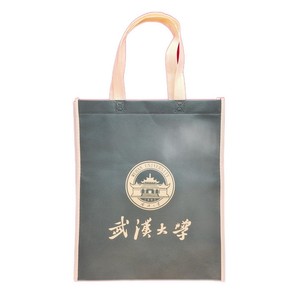 Reusable PP Non-Woven Shopping Bag 20-40 Times Usable Eco-Friendly Plastic Bag Alternative