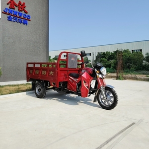 Open Body Type Gasoline Motorcycles 3 Wheels Long Range Petrol Tricycle <b>for</b> Adult Passengers - Product Image 3