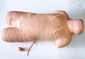 Maniquí de entrenamiento de paracentesis, simulador de Anatomía de punción de médula ósea, modelo de enseñanza de paciente de Torso médico - Product Image 2