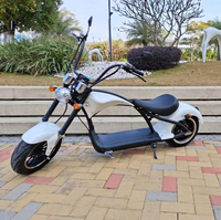 Scooter Eléctrico Inteligente Loyal con GPS, Motor sin Escobillas de 3000W, Plegable, Impermeable, Batería de Litio Recargable de 60V 20/30Ah