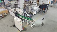 Système d'emballage automatique Focuspack M8-M20 pour fixations, avec comptage automatique, scellage, ensachage et remplissage de cartons pour quincaillerie de grande taille