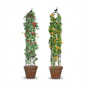 Obelisco de Jardín con Enrejado de Hierro de 6 Pies para Plantas Trepadoras, Uso en Exteriores, Estilo Clásico, Fácil de Montar - Product Image 1