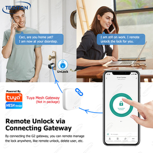 Thông Minh Thông Minh Phong Cách Châu Âu Hợp Kim Kỹ Thuật Số Tuya Mật Khẩu Tự Động Keyless Cửa Khóa Nhà Chốt Cửa Xi Lanh Cửa Khóa - Product Image 3