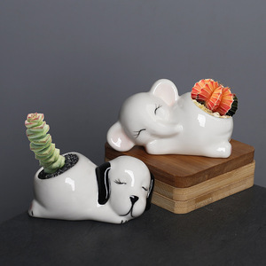 Mini pot de <span class=keywords><strong>cactus</strong></span> et de plantes succulentes au design d'animaux de dessin animé, décoration de bureau XN00403 - Product Image 3