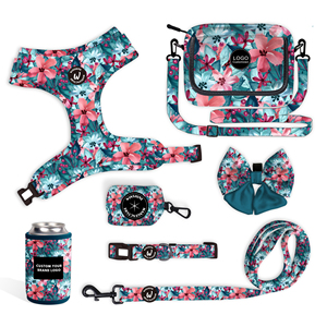 Neueste beliebte Halsband leine für Hunde geschirr passende Mode tasche Outdoor Walking <span class=keywords><strong>Pet</strong></span> mit Dosen kühler - Product Image 2