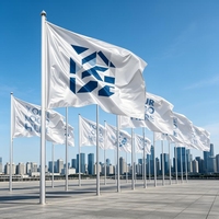 Drapeau personnalisé en nylon/polyester avec logo, grande taille, anti-plis et séchage rapide pour la publicité d'événements en extérieur