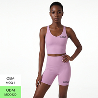 Fabricants de vêtements de sport, vêtements de sport pour femmes, vêtements de fitness, vêtements de sport à séchage rapide, ensemble de yoga 2 pièces à taille haute