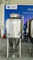 Cuve de Fermentation Conique de 250L pour Bière avec Enveloppe de Refroidissement à Glycol à Vendre