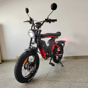 Electric Bike Aluminum Frame Dual Motor 2000W Bafang Brand Dual Battery 44Ah52V Full Suspension Hydraulic Brake Fat Tire