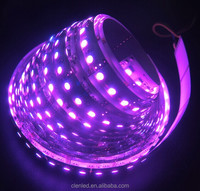 Lampu Neon LED 24V 5050 RGB 60LED/M UCS1903 Lampu Panggung LED Pengubah Warna untuk Klub Malam