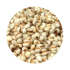 Coix Lacryma Jobi China Origin Factory Customize Organic Dry The Seed Of Job's Tear Pearl Barley