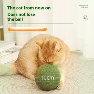 Giocattolo Extra Large di Lusso con Pallina di Catnip, Classico per l'Auto-Intrattenimento, Allevia la Noia, Bacchetta Teaser per Gatti e Gattini, Accessori per la Pulizia dei Denti - Product Image 2