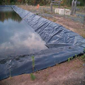 Géomembrane HDPE de 0,5 mm et 0,75 mm d'épaisseur : <span class=keywords><strong>Prix</strong></span> pour revêtement de bassin à poissons et crevettes, aquaculture - Product Image 2