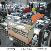 Machine voor de verwerking van cactusvijgensapconcentraat, productielijn voor fruitpulpjam, industriële apparatuur voor fruitleer.