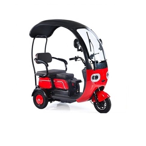 Nouveau style de haute qualité Mini pousse-pousse électrique Tricycle <span class=keywords><strong>moto</strong></span> EV à trois roues - Product Image 6
