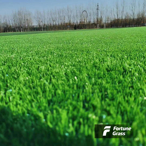 Bán Sỉ Cỏ Nhân Tạo Tổng Hợp Cỏ Nhân Tạo Số Lượng Lớn Cho Sân Bóng Đá Sân Bóng Đá Futsal Bán Cỏ Nhân Tạo - Product Image 4