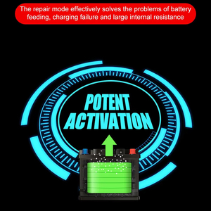 TK-300 E-FAST caricabatteria per moto caricabatteria per <span class=keywords><strong>Auto</strong></span> caricabatteria per <span class=keywords><strong>Auto</strong></span> carica completa arresto automatico 12V - Product Image 5