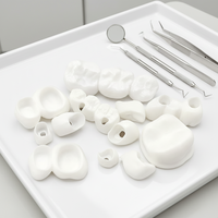 Services d'impression 3D en céramique pour articulations artificielles, implants dentaires, charpentes de réparation osseuse personnalisées, prototypage rapide |   Quantité minimale de commande : 1 |