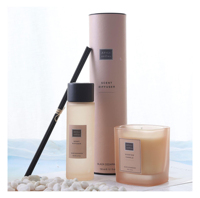Diffuseur de parfum de luxe pour la maison, bâtonnets parfumés, diffuseur de parfum à roseaux, désodorisant d'air