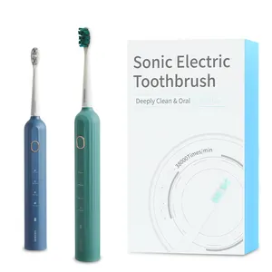 Fábrica Direta Fornecedor 2200mah Adulto Impermeável Automático Sonic Tipo-c Escova De Dentes Elétrica