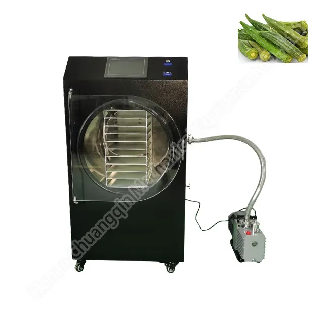 20 Kilo Freeze Dryer Fruit Vacuum Freeze Drying Machine Freeze Dryer For Laboratory