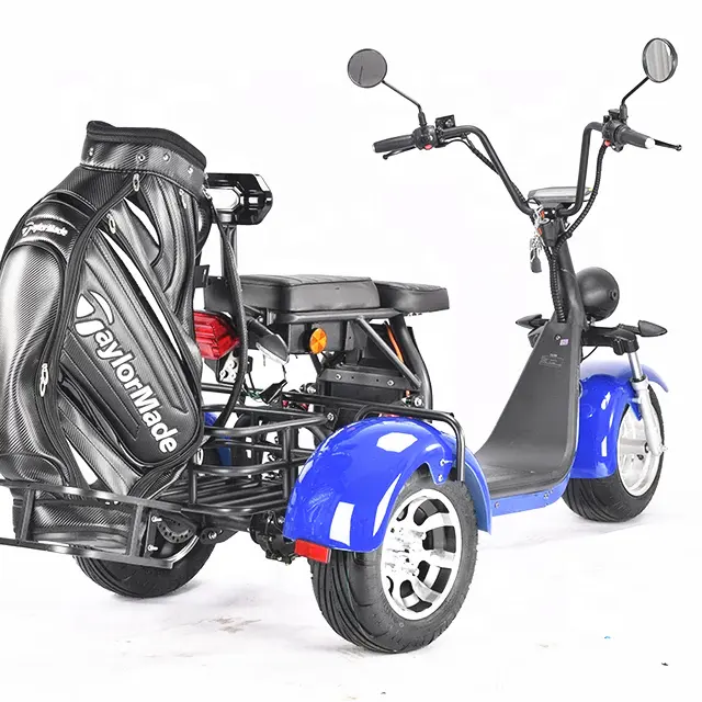 2000W 60v1 2AH/20AH Li-Ion Batterij Drie Wiel Elektrische Scooter Met Golftas Houder/Fat Tire Golf karren/Motorfiets/Trolley