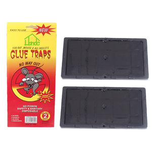 Piège à colle <span class=keywords><strong>pour</strong></span> <span class=keywords><strong>rat</strong></span> collant non toxique avec <span class=keywords><strong>beurre</strong></span> <span class=keywords><strong>de</strong></span> <span class=keywords><strong>cacahuète</strong></span> parfumé <span class=keywords><strong>pour</strong></span> souris souris - Product Image 4