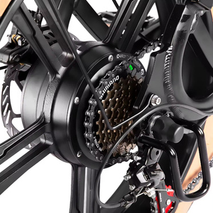 Bicicleta Eléctrica Estilo Moped con Batería de Litio Extraíble de Largo Alcance de 15AH, Motor de 500W, Neumático Grueso de 20" x 4.0, 7 Velocidades, ZB Long Range Removable B - Product Image 3