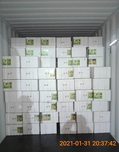 Fertilizante agrícola NPK Macro Element Fertilizante de potasio soluble en agua 0-5-48 Endulzar fruta colorante - Product Image 6