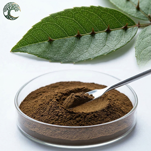 Extracto Herbal de <span class=keywords><strong>Zanthoxylum</strong></span> Nitidum de Buena Calidad, Grado Alimenticio, en Polvo, Envasado al Vacío en Frasco de Vidrio - Product Image 1
