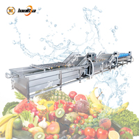 Machine industrielle de nettoyage des fruits et légumes, laveuse à bulles pour carottes, tomates, légumes-feuilles et radis