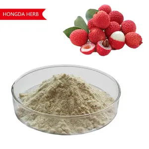 Suministro DE FÁBRICA DE Hongda Extracto de lichi natural puro polvo de jugo de fruta de lichi