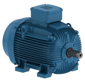 Motor WEG con Carcasa de Aluminio de 1kw, 2kw, 3kw, 7.5kw, 11kw, Hierro Fundido de 75kw, 90kw, 132kw, 200kw, 250kw, 300kw, Motor de Inducción Trifásico - Product Image 5