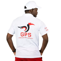 Imprimante textile directe sur tissu de haute qualité Micolorprint, disponible en toutes tailles, machine d'impression de t-shirts DTG