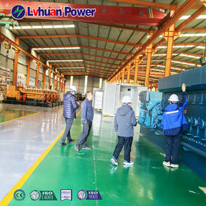 <span class=keywords><strong>1.2mw</strong></span> עץ כוח גז צמח ביומסה גנרטורים/מפעל ייצור שבב כוח - Product Image 3